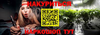 индика Гай
