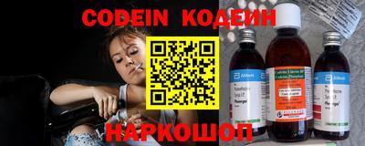 индика Гай