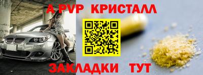 индика Гай