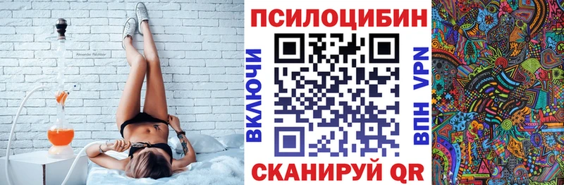 Псилоцибиновые грибы Psilocybine cubensis  МЕГА как войти  Новозыбков 