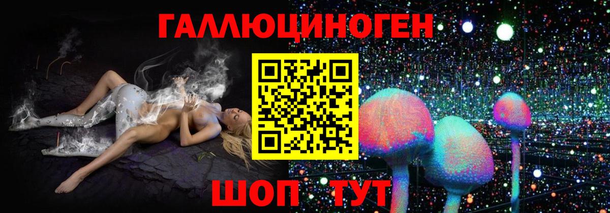 Новозыбков  Псилоцибиновые грибы GOLDEN TEACHER  Вход с VPN 