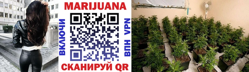 Конопля LSD WEED  блэк спрут рабочий сайт  Новозыбков 